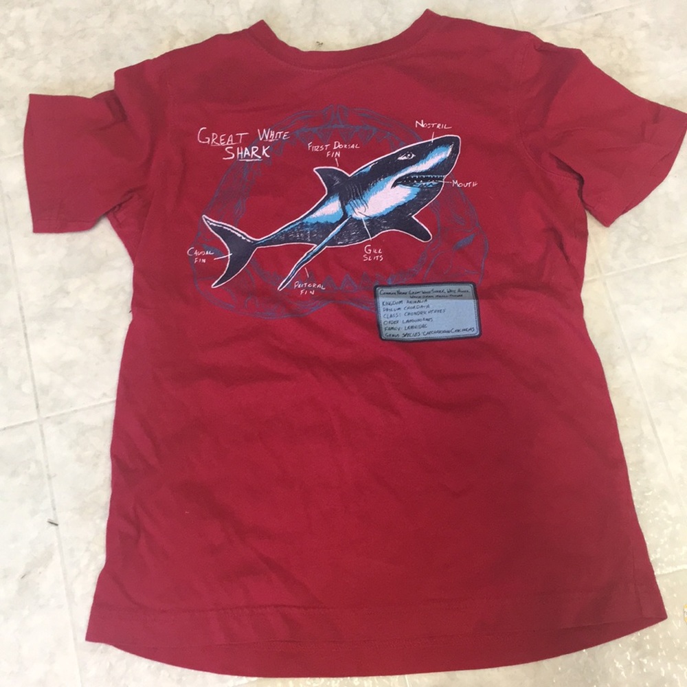 Lands End boys shark shirt, 8